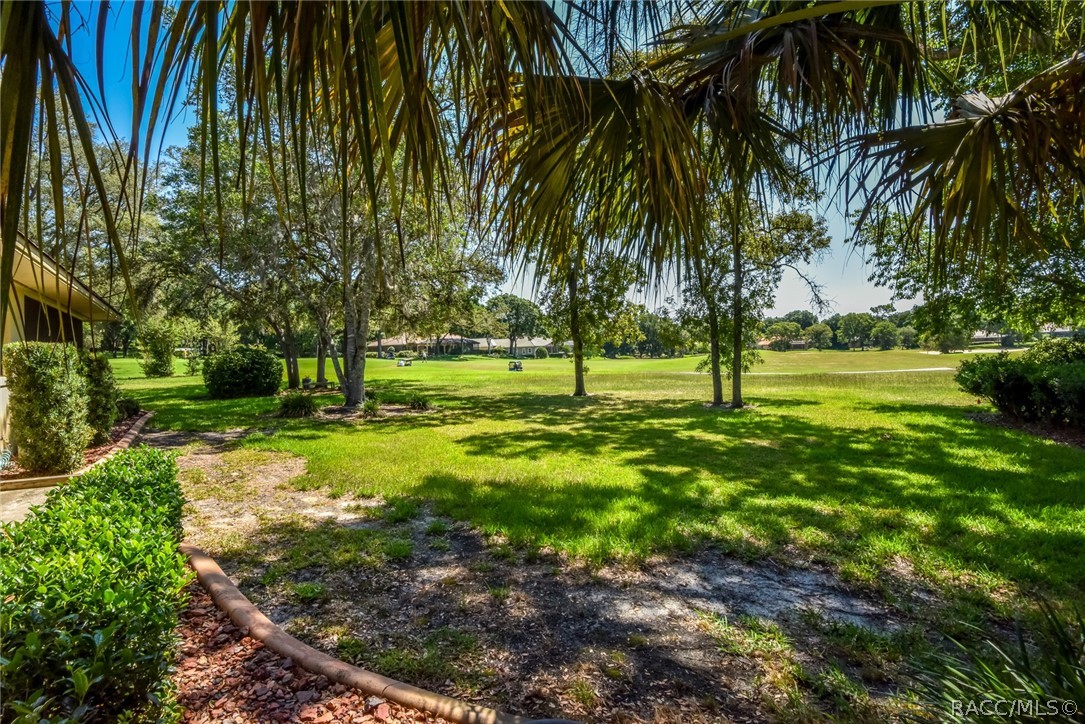 3365 N Bent Tree Point, Lecanto, Florida image 6