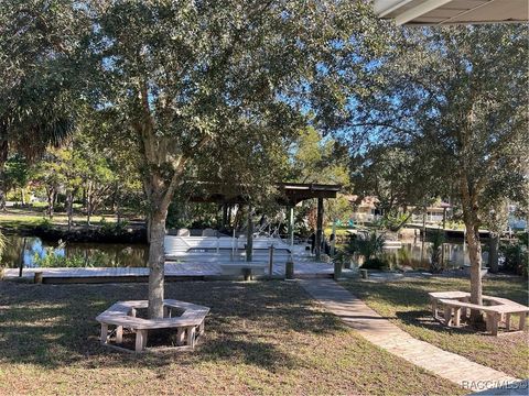 A home in Homosassa