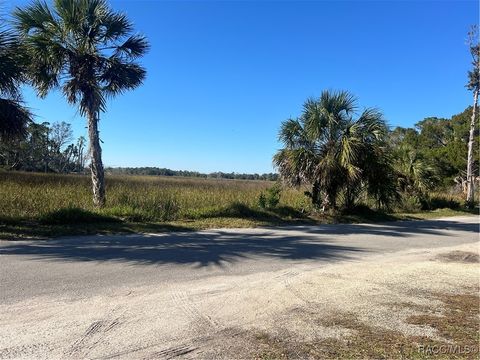 A home in Homosassa