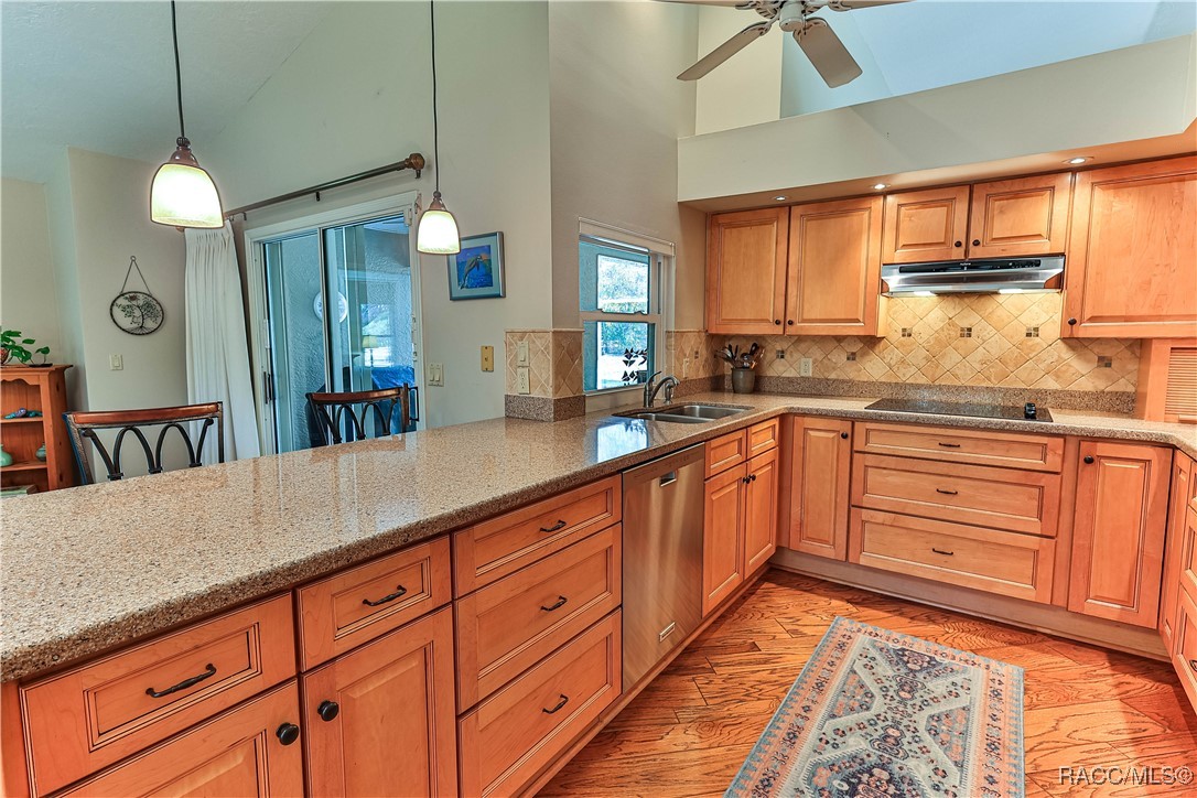 4150 N Wrangler Point, Beverly Hills, Florida image 9