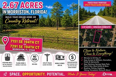 Vacant Land For Sale - SE 194th Court<br/> Morriston, FL 32668