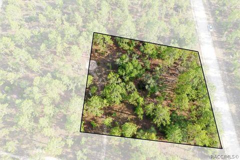 Vacant Land For Sale - 0000 NE 131st Lot 9 Terrace<br/> Levy County, Williston, FL 32696