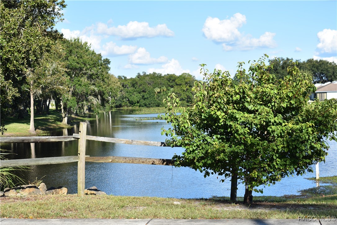 9640 E White Egret Path, Inverness, Florida image 4