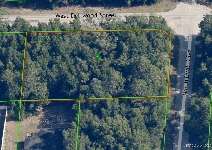 2622 W Dellwood Street, Citrus Springs, New York image 4