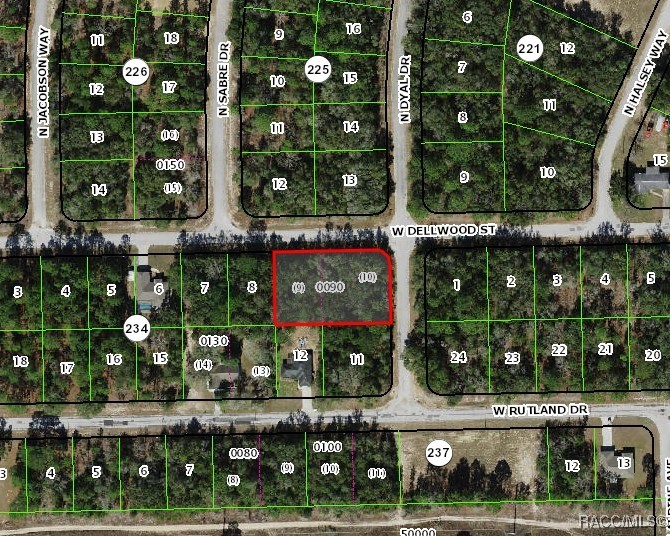 2622 W Dellwood Street, Citrus Springs, New York image 2