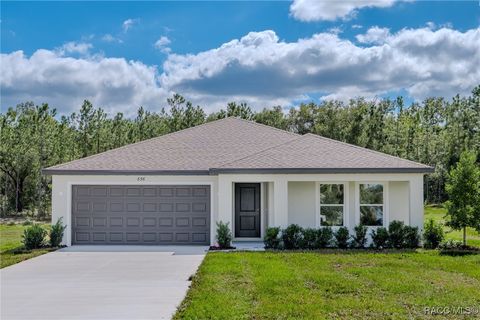 656 E Alaska Lane Hernando FL 34442