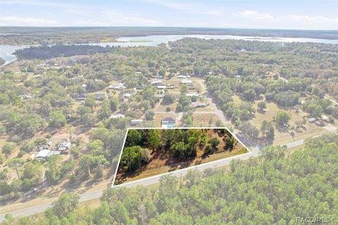 Vacant Land For Sale - 0000 Hwy 40 East<br/> Dunnellon, FL 34431
