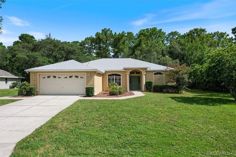 A home in Homosassa