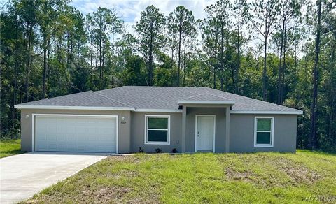 A home in Citrus Springs