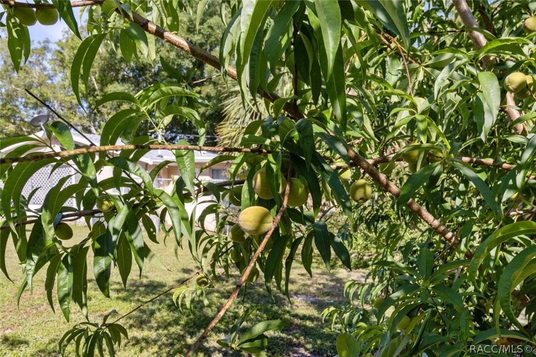 Beverly Hills, Florida 34465, United States, 2 Bedrooms Bedrooms, ,2 BathroomsBathrooms,Residential,Active,125369