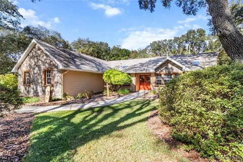 A home in Hernando