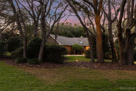 A home in Hernando