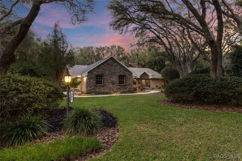 A home in Hernando