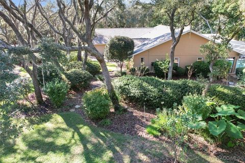 A home in Hernando