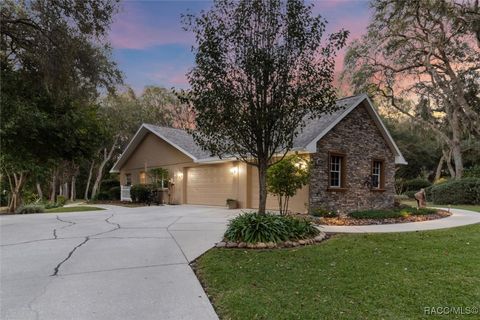 A home in Hernando