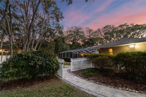 A home in Hernando