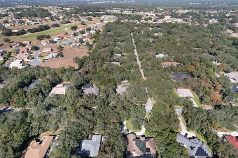 A home in Hernando