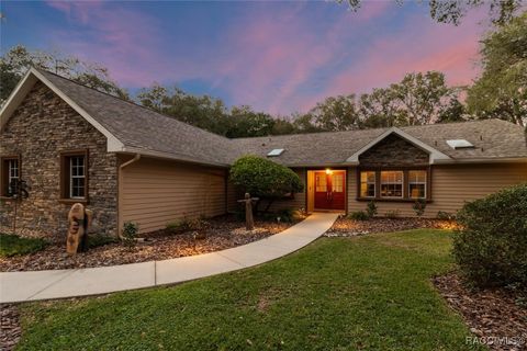 A home in Hernando