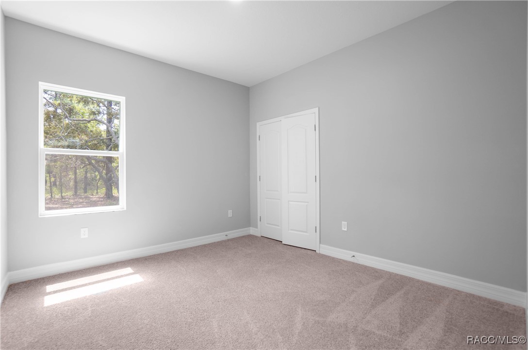 13 Black Willow Street, Homosassa, Florida image 25