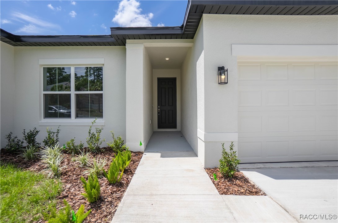 13 Black Willow Street