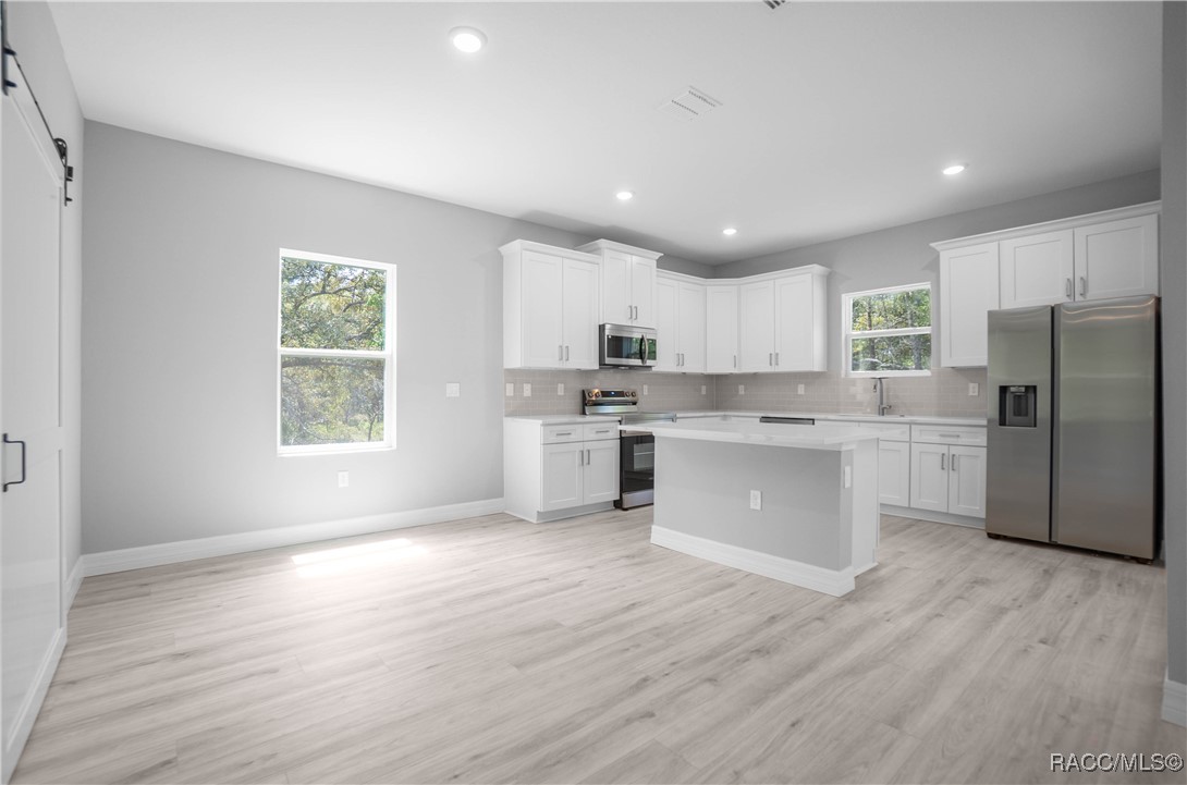 13 Black Willow Street, Homosassa, Florida image 11