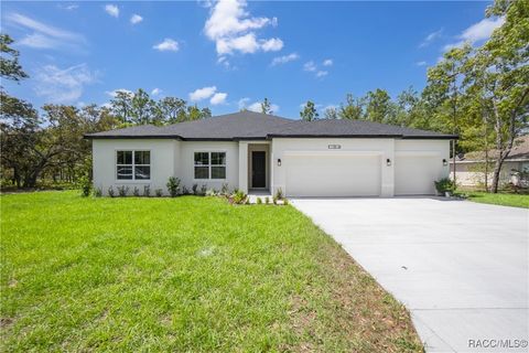 13 Black Willow Street Homosassa FL 34446