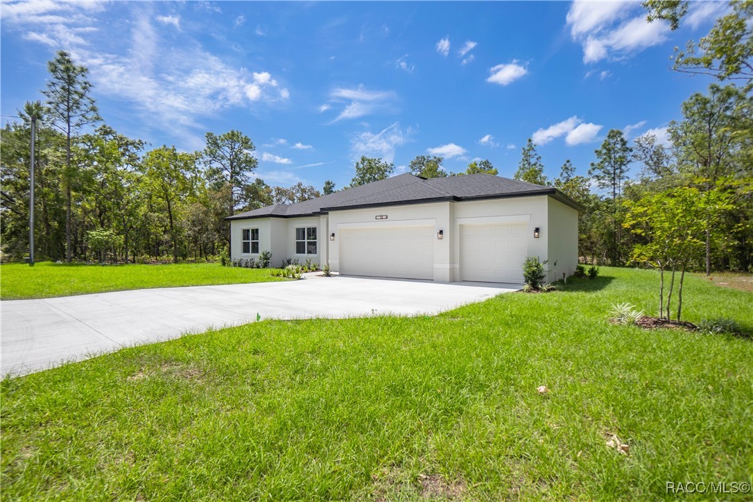 13 Black Willow Street