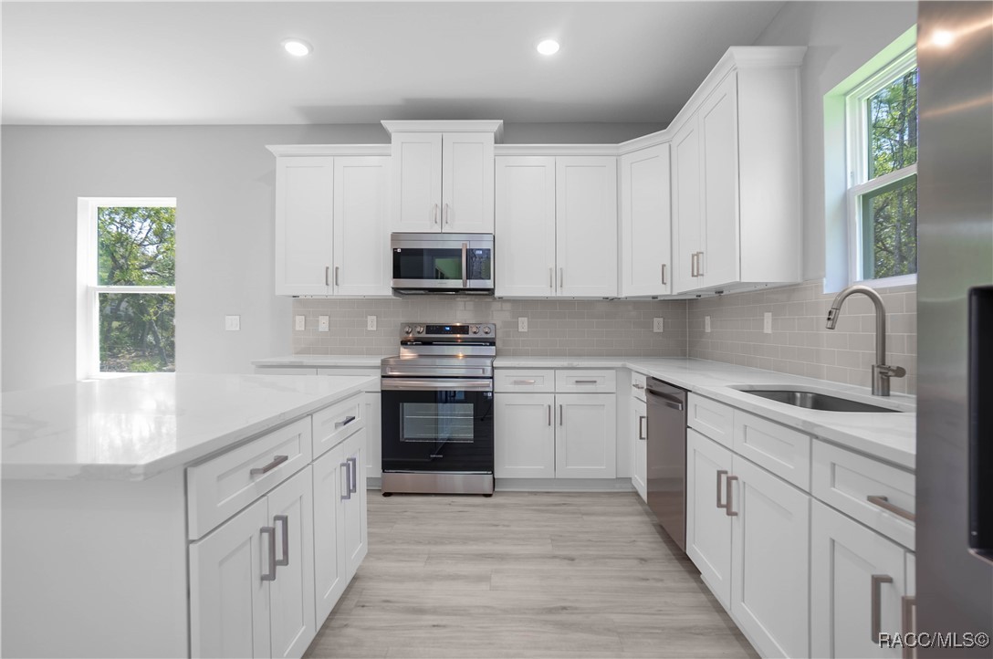 13 Black Willow Street, Homosassa, Florida image 16