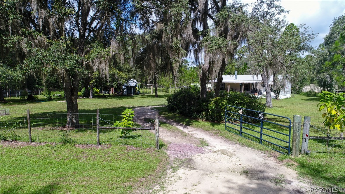 1290 NE 123rd Avenue, Williston, Florida image 3