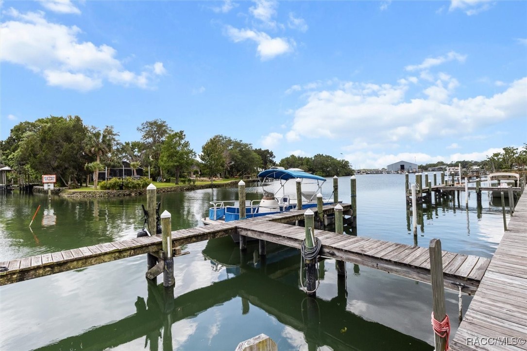 255 NW Bay Path Drive, Crystal River, New York image 37
