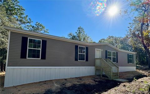 A home in Hernando