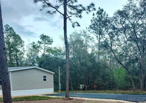A home in Hernando