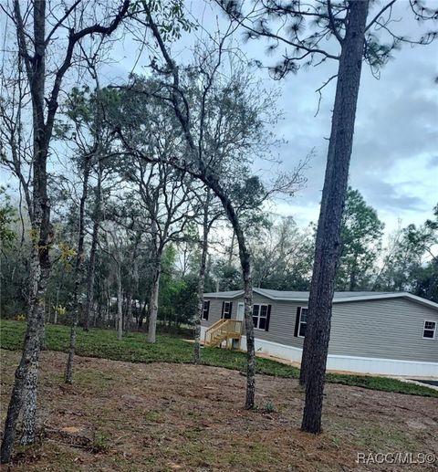 A home in Hernando