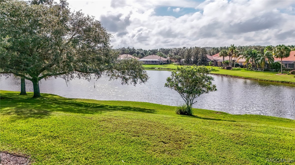 1027 W Beagle Run Loop, Hernando, Florida image 43