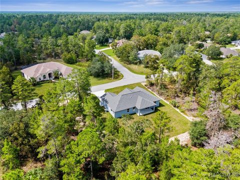 A home in Homosassa