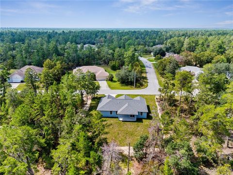 A home in Homosassa