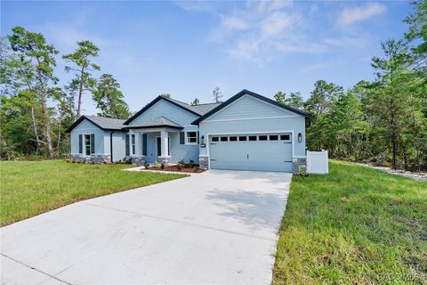 A home in Homosassa