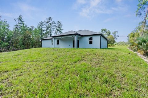 A home in Homosassa