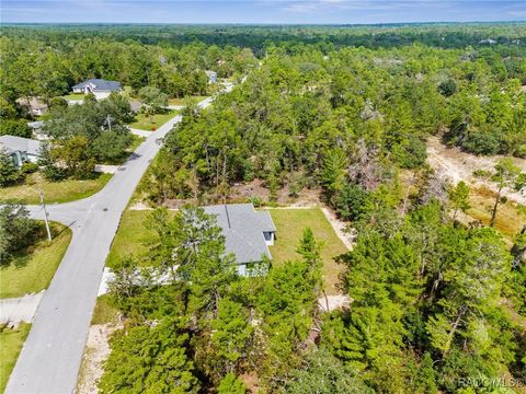 A home in Homosassa