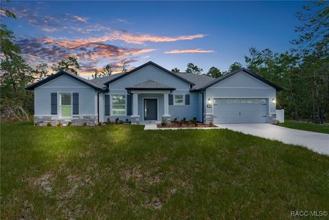 A home in Homosassa