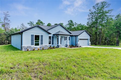 A home in Homosassa