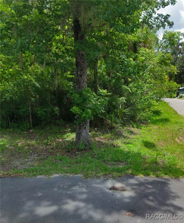 TBD County Road 428 Road, Lake Panasoffkee, Florida image 1