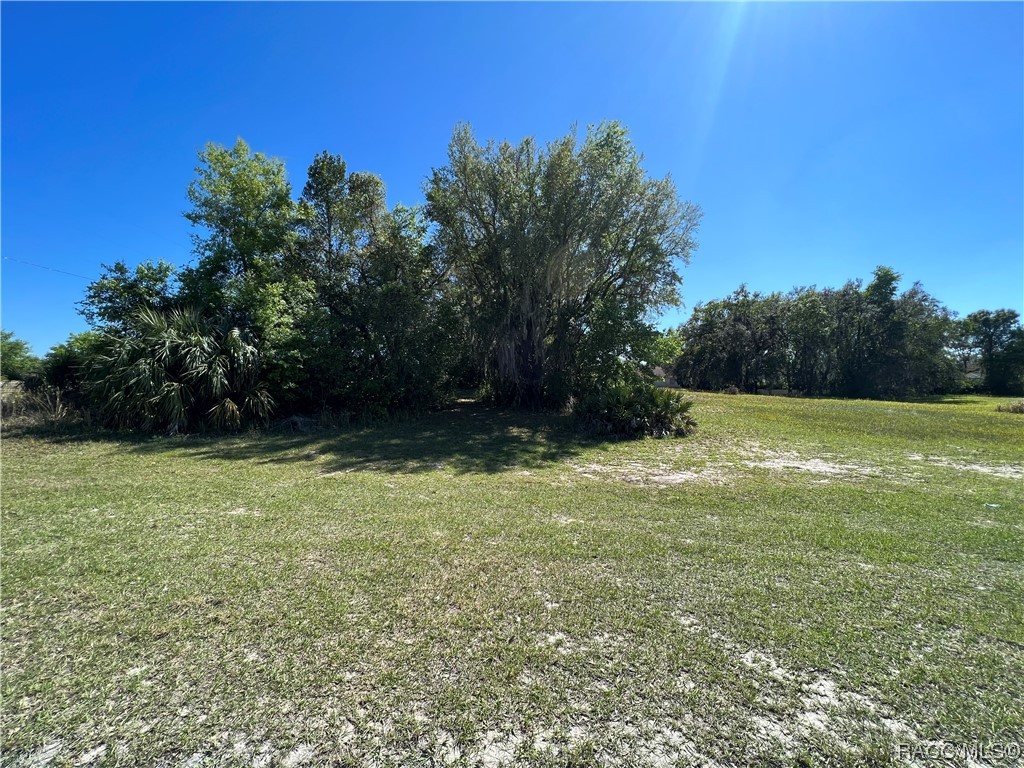 9888 E Moccasin Slough Road, Inverness, Florida image 9