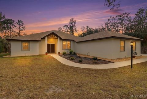 4421 N Little Dove Terrace Hernando FL 34442