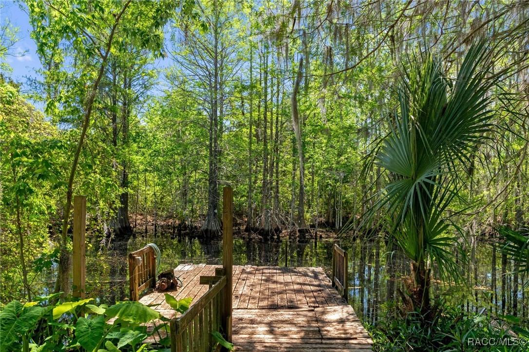 10506 E Gobbler Drive, Floral City, Florida image 31