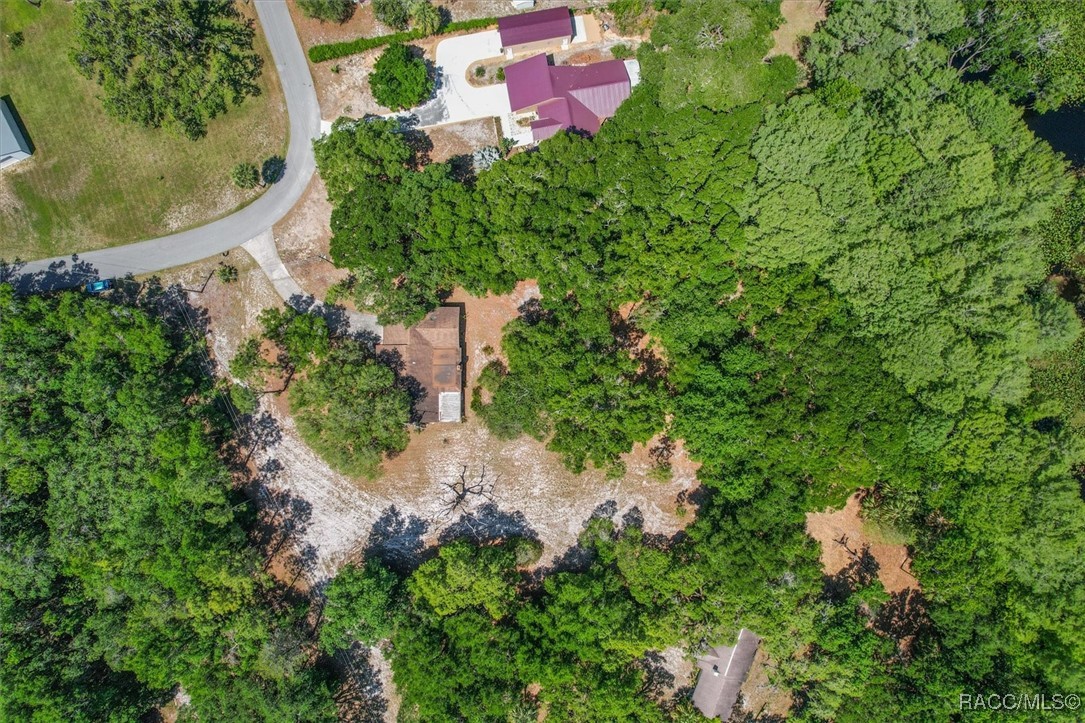 1255 E Estate Point, Inverness, New York image 50