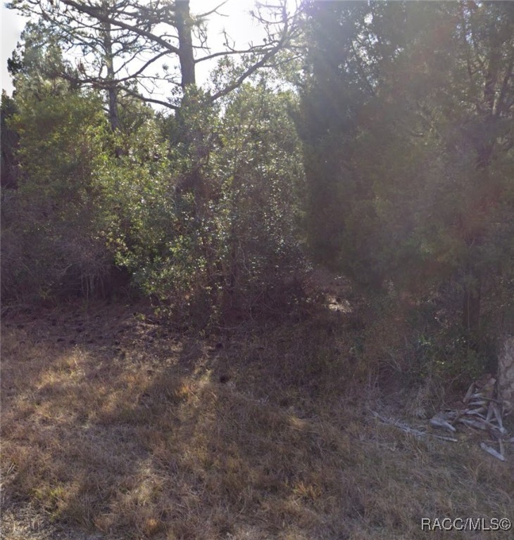 TBD Quinton Road, Brooksville, New York image 3