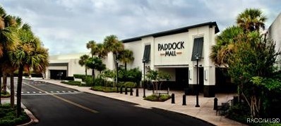9555 N Old Mill Way, Citrus Springs, Florida image 19