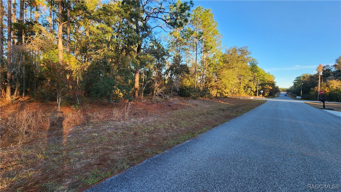 9555 N Old Mill Way, Citrus Springs, Florida image 2