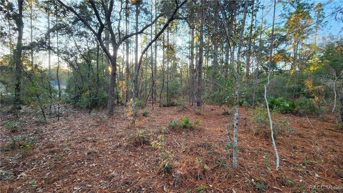 9555 N Old Mill Way, Citrus Springs, Florida image 6